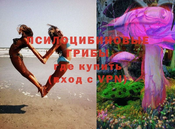 мет Абаза