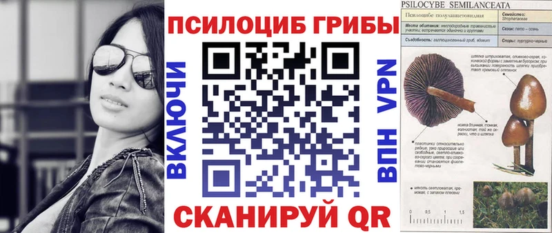 площадка состав  Кудымкар  Псилоцибиновые грибы Psilocybine cubensis 